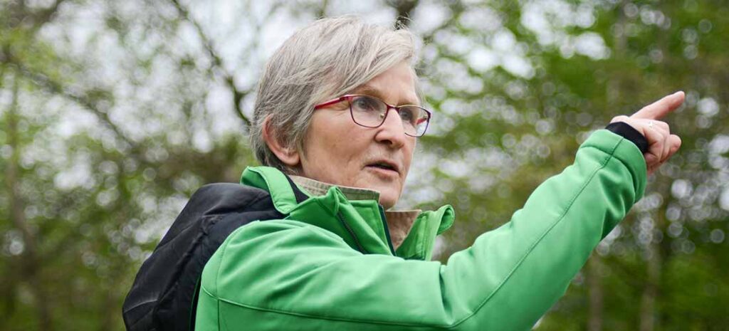 Systemisches Coaching für Führungskräfte – Business Coaching, Führungskräftetraining und Seminare für nachhaltige Entwicklung, inklusive Naturcoaching und Coaching mit Pferden